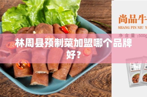 林周县预制菜加盟哪个品牌好？
