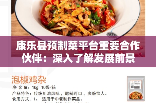 康乐县预制菜平台重要合作伙伴：深入了解发展前景
