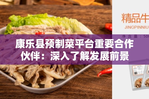 康乐县预制菜平台重要合作伙伴：深入了解发展前景