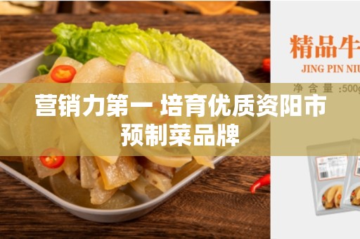 营销力第一 培育优质资阳市预制菜品牌