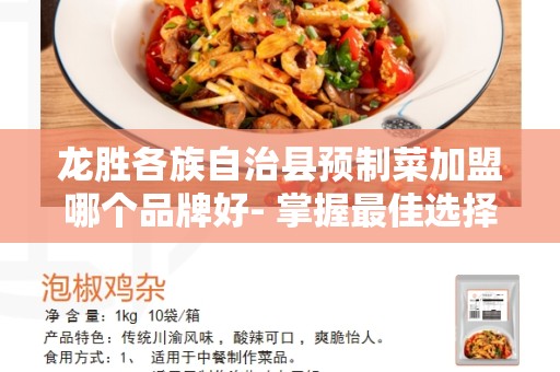 龙胜各族自治县预制菜加盟哪个品牌好- 掌握最佳选择