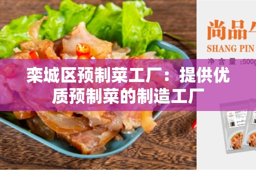 栾城区预制菜工厂：提供优质预制菜的制造工厂