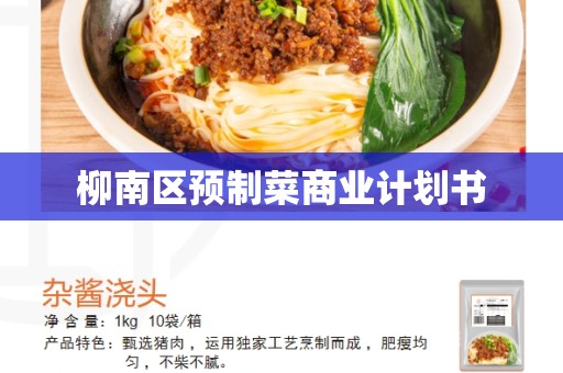 柳南区预制菜商业计划书