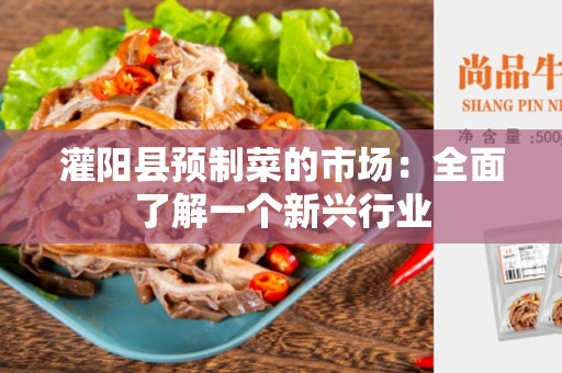 灌阳县预制菜的市场：全面了解一个新兴行业