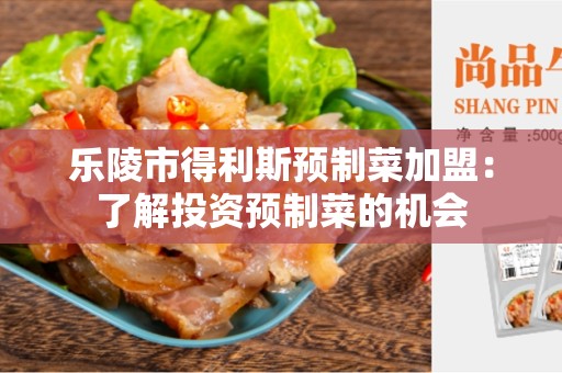 乐陵市得利斯预制菜加盟：了解投资预制菜的机会
